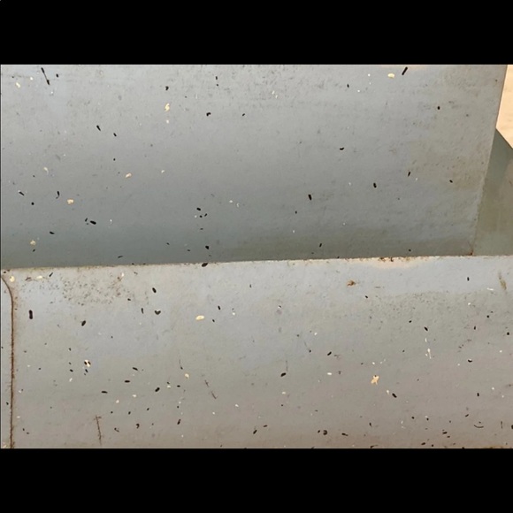 Cigar light - Picture 3 of 13